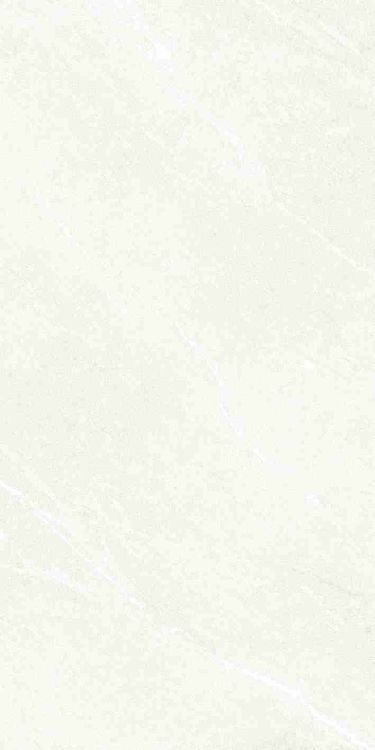 Dhara White Matte 24 x 48